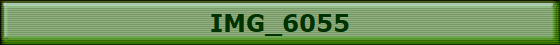 IMG_6055