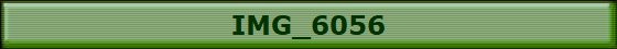 IMG_6056