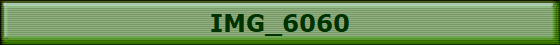 IMG_6060