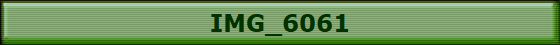 IMG_6061