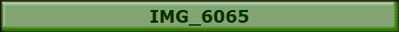 IMG_6065