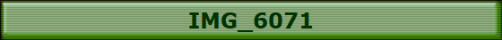 IMG_6071