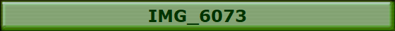 IMG_6073