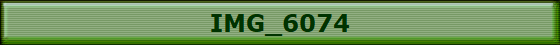IMG_6074