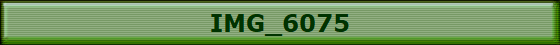 IMG_6075