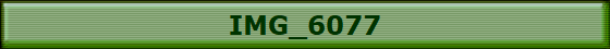 IMG_6077