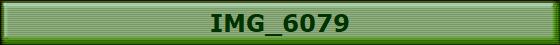 IMG_6079