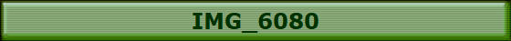 IMG_6080
