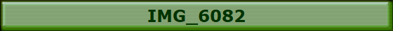 IMG_6082