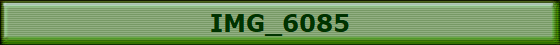 IMG_6085
