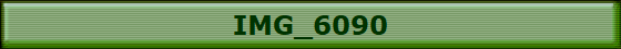 IMG_6090