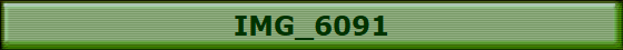 IMG_6091