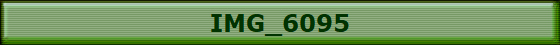 IMG_6095