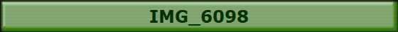 IMG_6098
