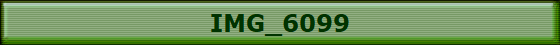 IMG_6099