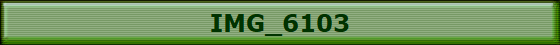 IMG_6103