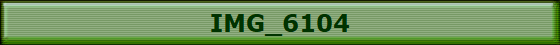 IMG_6104