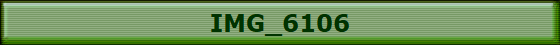 IMG_6106