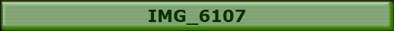 IMG_6107