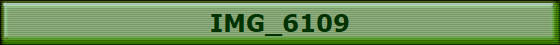 IMG_6109