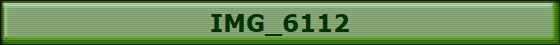 IMG_6112