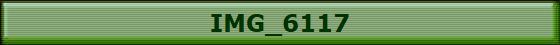 IMG_6117