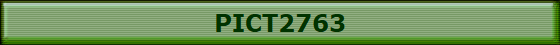PICT2763