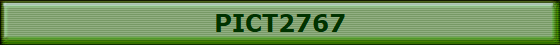 PICT2767