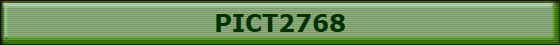 PICT2768