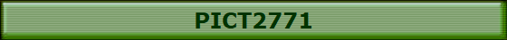 PICT2771