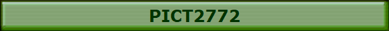 PICT2772
