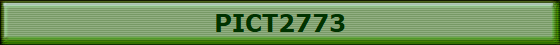 PICT2773
