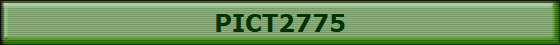 PICT2775