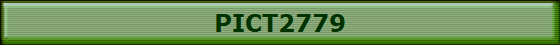 PICT2779