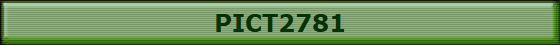 PICT2781