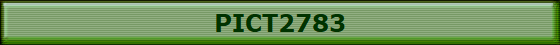 PICT2783