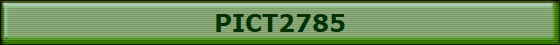 PICT2785