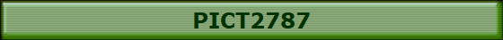 PICT2787