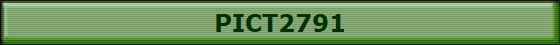 PICT2791