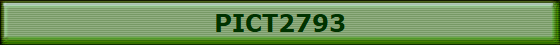 PICT2793