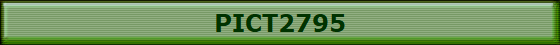 PICT2795