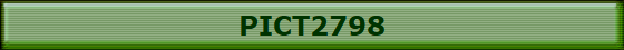 PICT2798