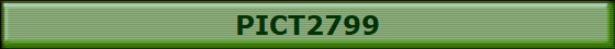 PICT2799