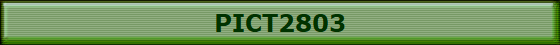 PICT2803