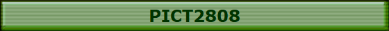 PICT2808