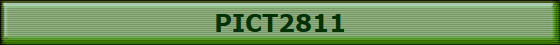 PICT2811