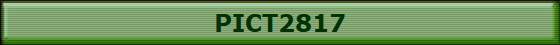 PICT2817