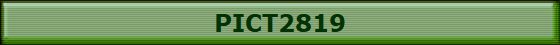 PICT2819
