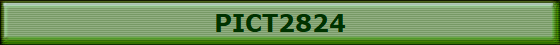 PICT2824