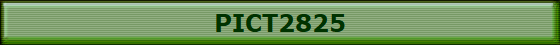 PICT2825